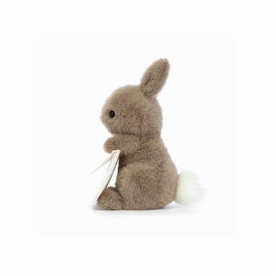 Jellycat Messenger Bunnies Australia | 819405MEI